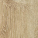 Ламинат Solid Plus S621 Дуб Канарский Ламинат Solid Plus S621 Дуб Канарский