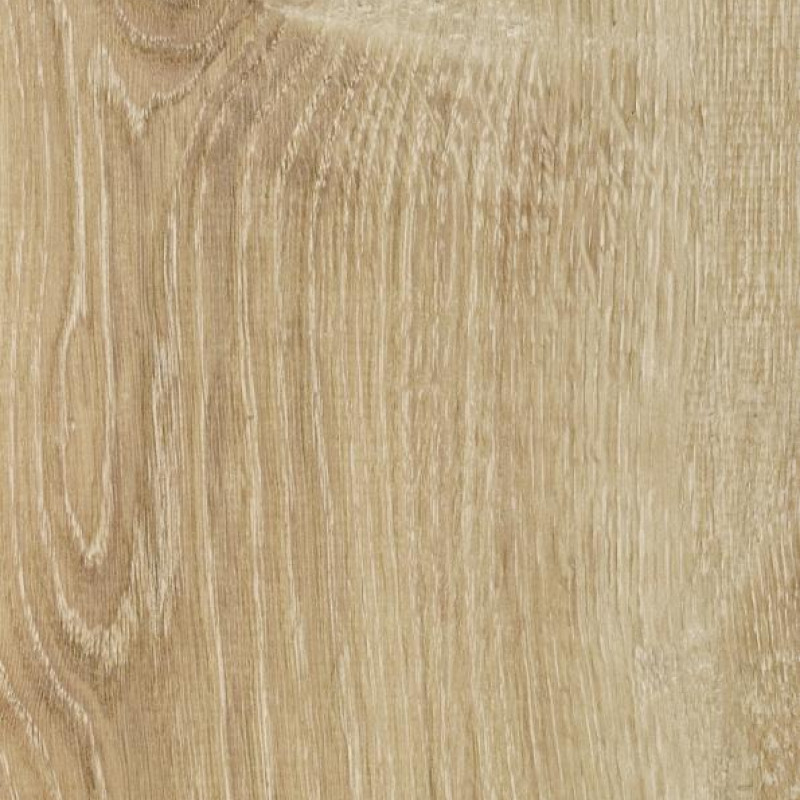Ламинат Solid Plus S621 Дуб Канарский Ламинат Solid Plus S621 Дуб Канарский